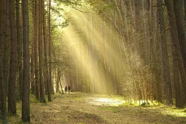 Les Meilleures Astuces pour un Trek d'Aventure Réussi