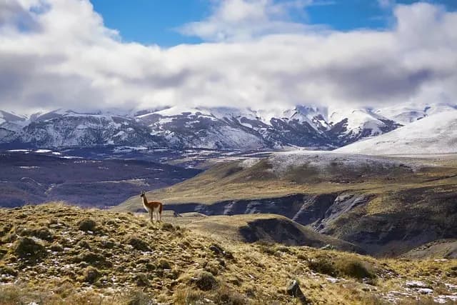 10 Expériences de Trekking à Essayer Absolument