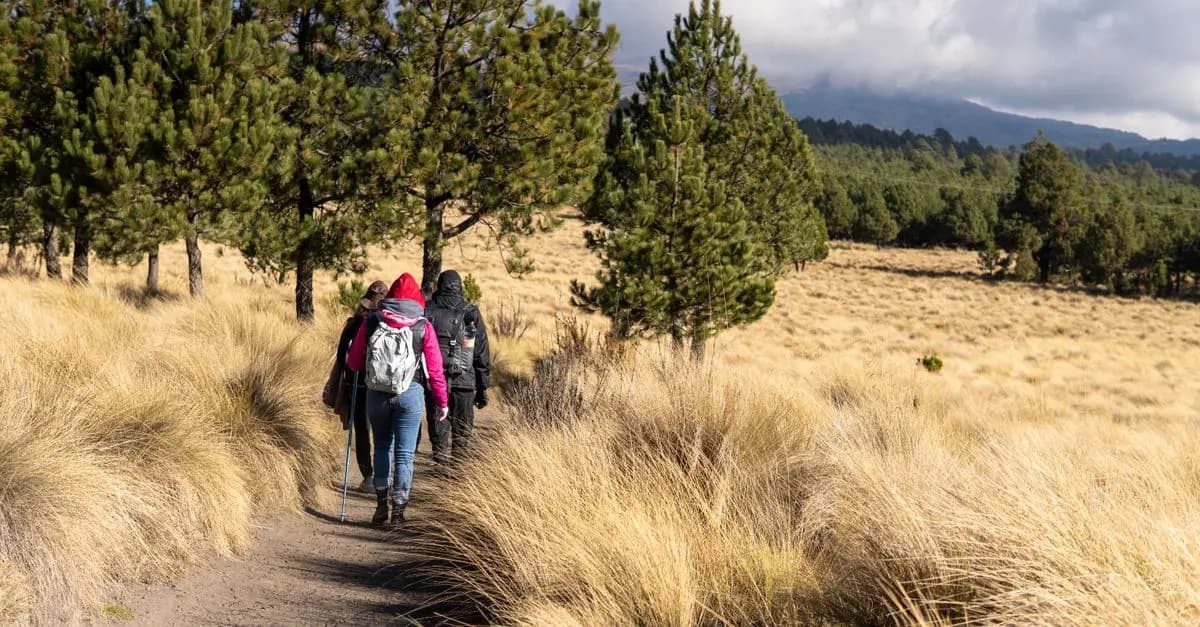 Mon Expérience de Trekking au Kilimandjaro
