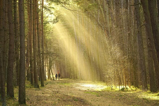 Tendances Trekking 2026 : Ce Qui Va Marquer l'Aventure