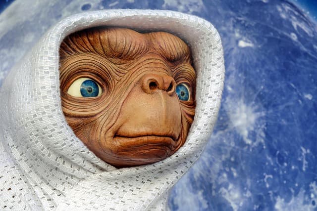 Suivre les Traces des Premiers Explorateurs : Un Trek Hors du Temps